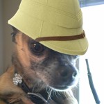Nacho